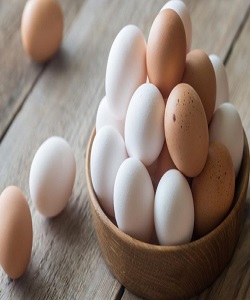  قیمت مصوب تخم‌ مرغ بسته‌ بندی تا پایان هفته اعلام می شود